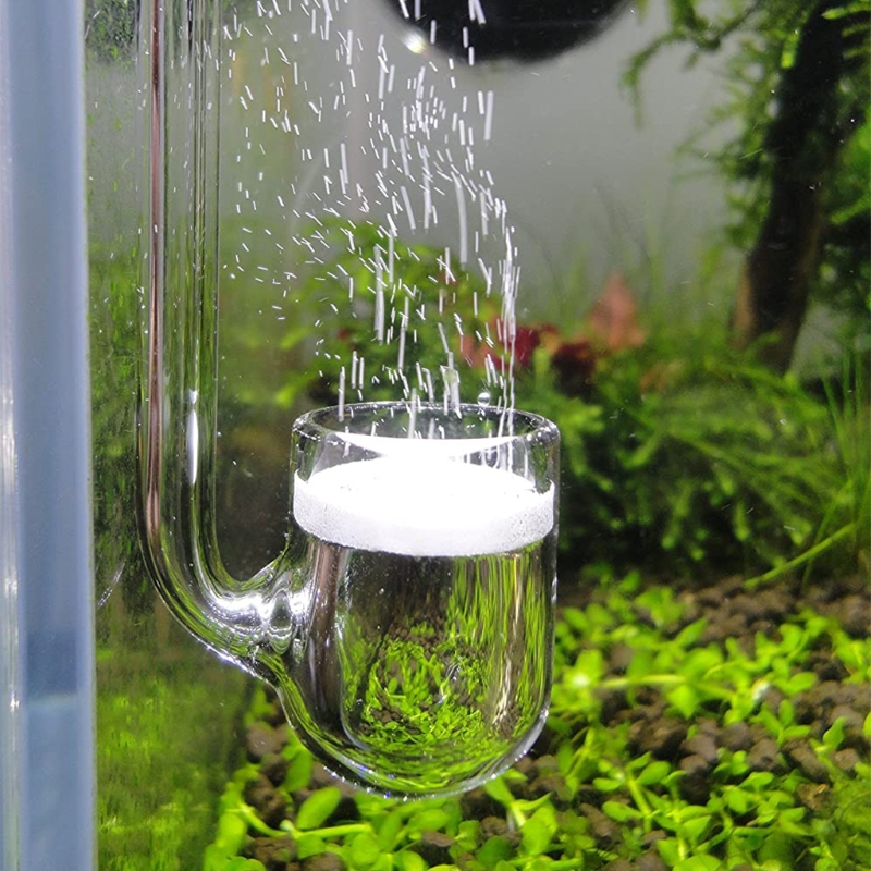 Aquarium Liquid Carbon - D0AD Kaca CO2 Diffuser untuk Akuarium