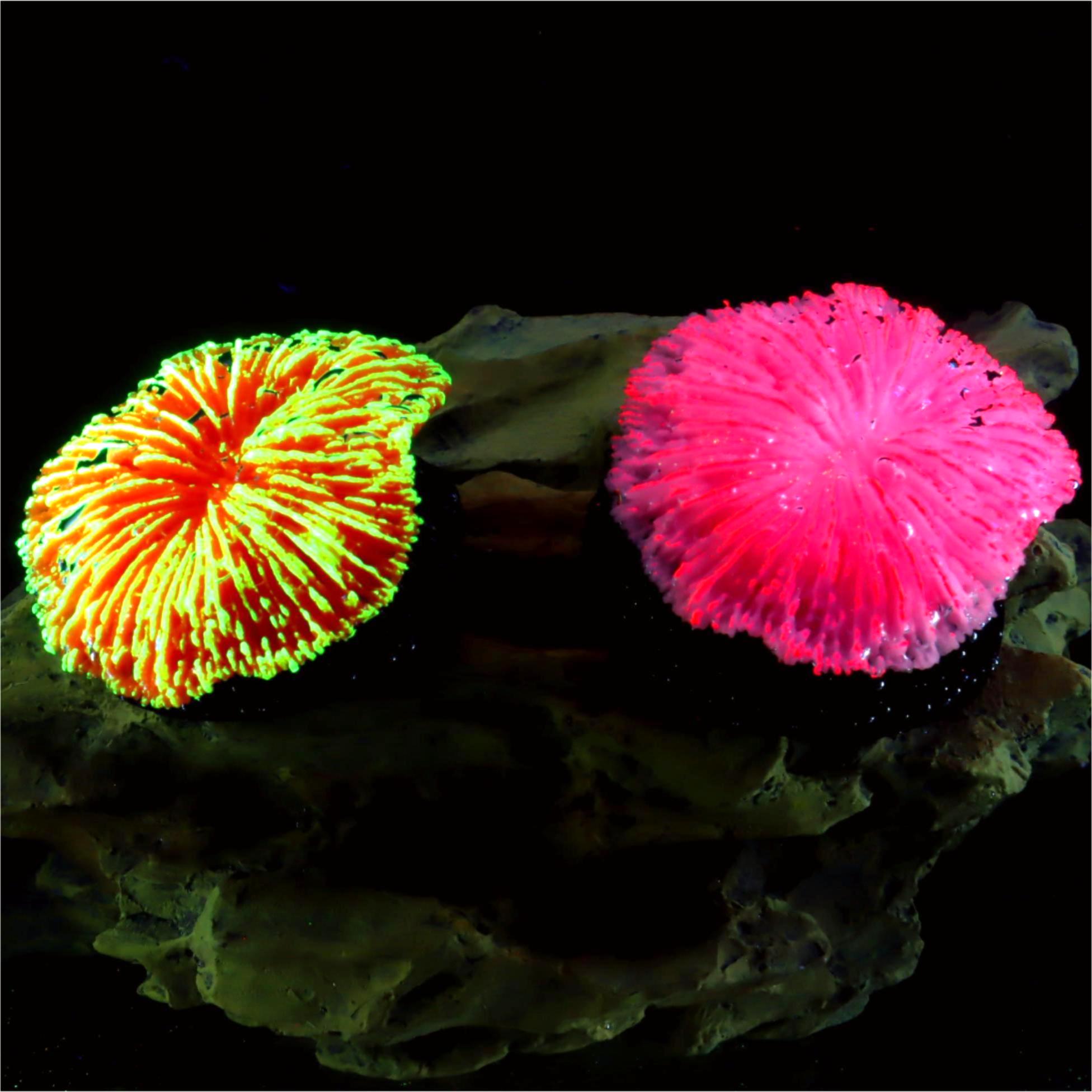 Live Plant Aquarium - 1 Buah Dekorasi Akuarium, Karang Mini