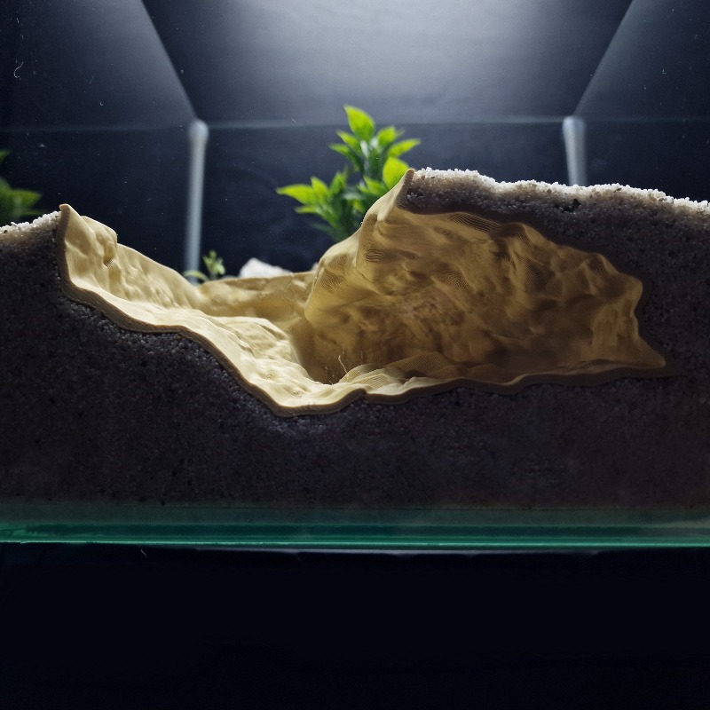 Aquarium Driftwood - Tempat Persembunyian Hewan Peliharaan dari Batu