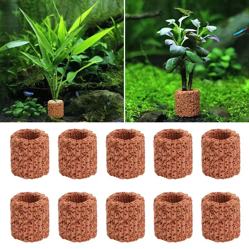 Plant Aquarium Pot - Cincin Tetap Tanaman Air untuk Pemandangan