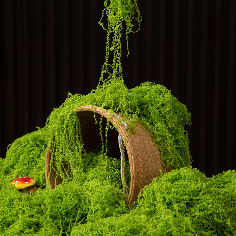 Aquarium Moss - 200G Rumput Lumut Kehidupan Abadi DIY