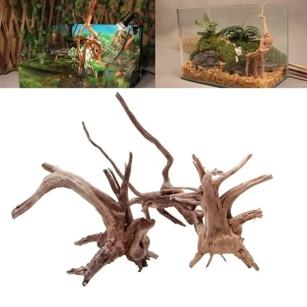 Aquarium Moss - Dekorasi Akuarium Kayu Apung Alami 15-20CM