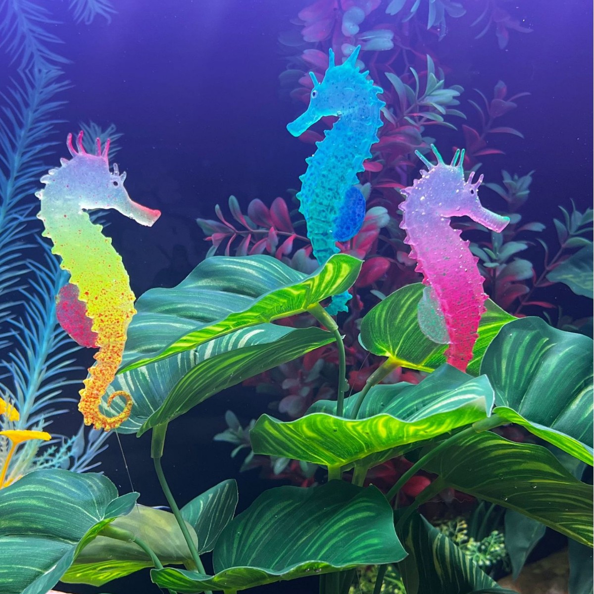 Aquarium Plant Substrate - Dekorasi Akuarium Kuda Laut Bercahaya Simulasi,