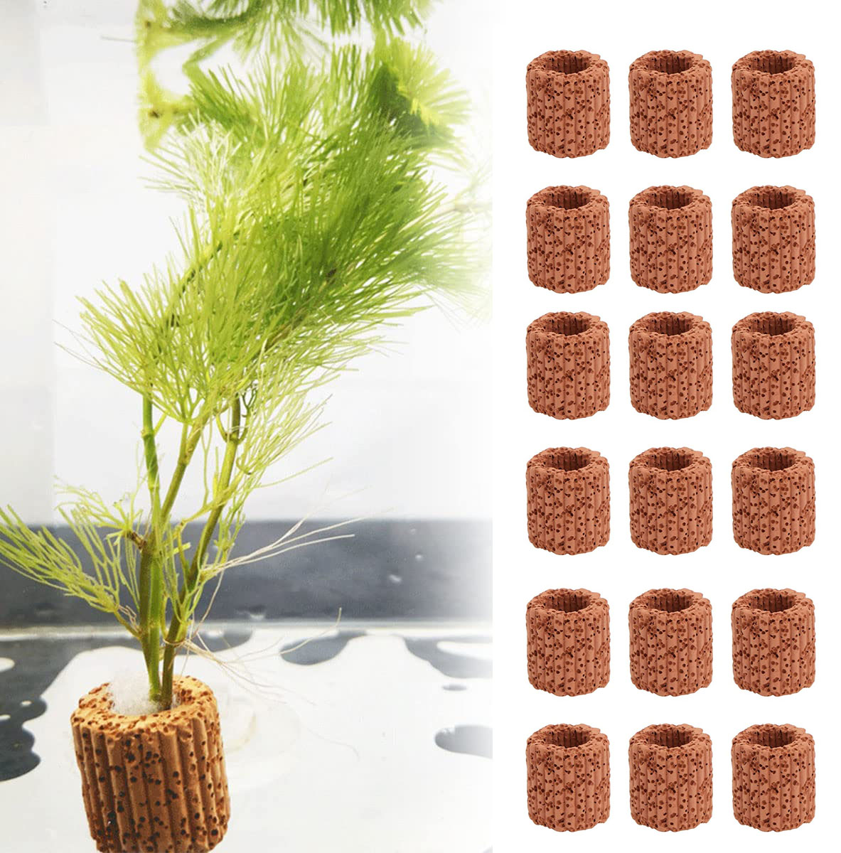 Plant Aquarium Pot - 10/20 buah tanaman air akuatik, dasar