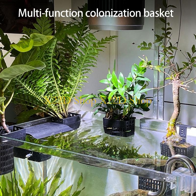 Plant Aquarium Pot - X22D Wadah Tanaman Vertikal Gaya Kuno