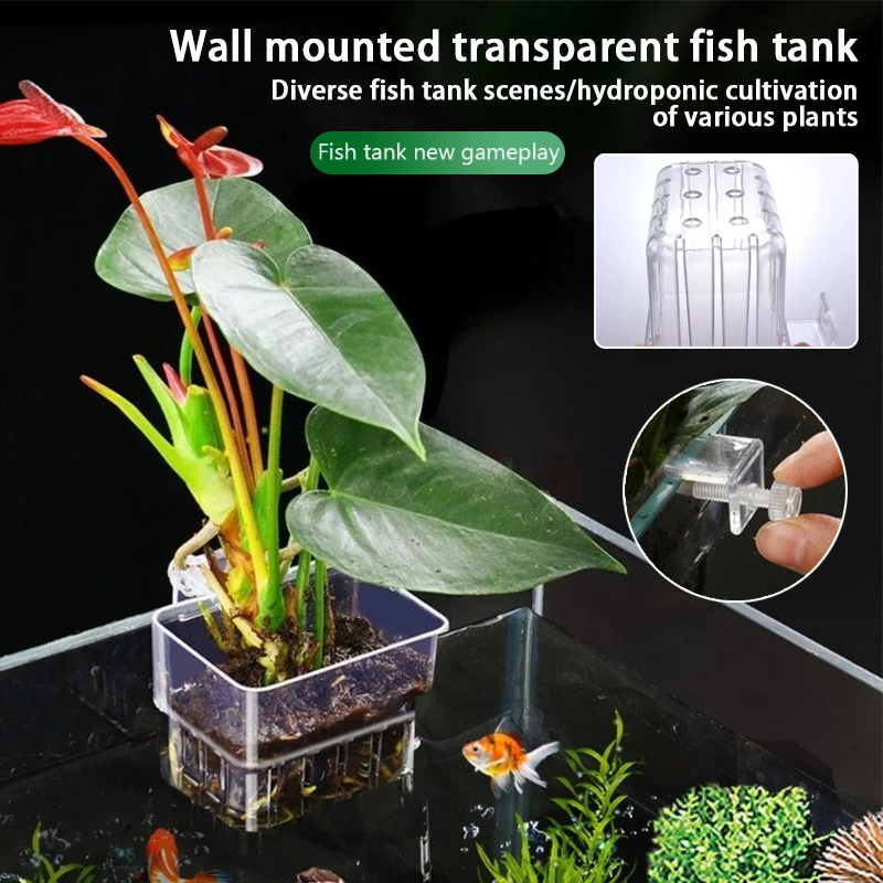 Plant Aquarium Pot - Pot Tanaman Gantung Akuarium, Wadah Tanaman