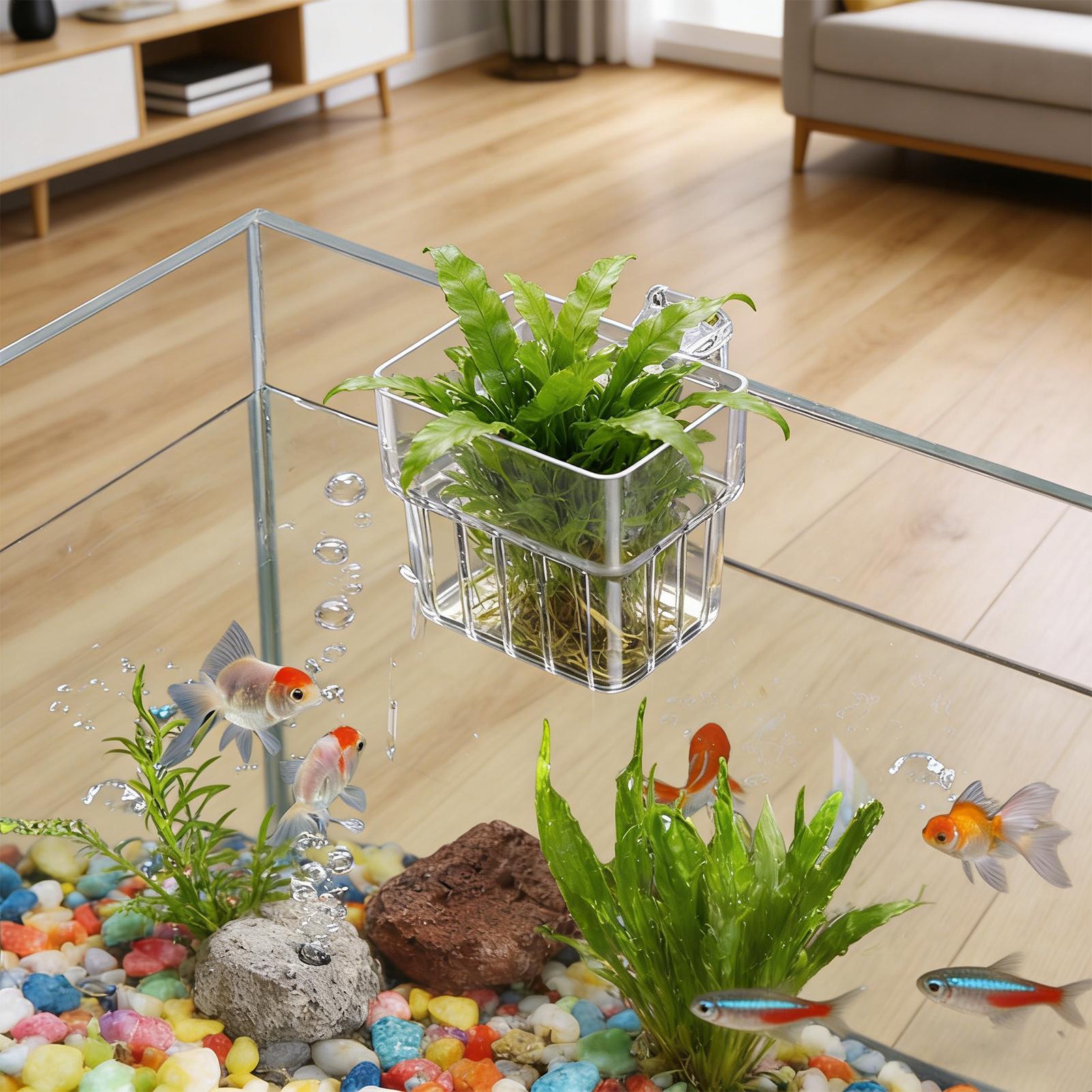 Plant Aquarium Pot - Pot Tanaman Akuarium Transparan yang Dapat