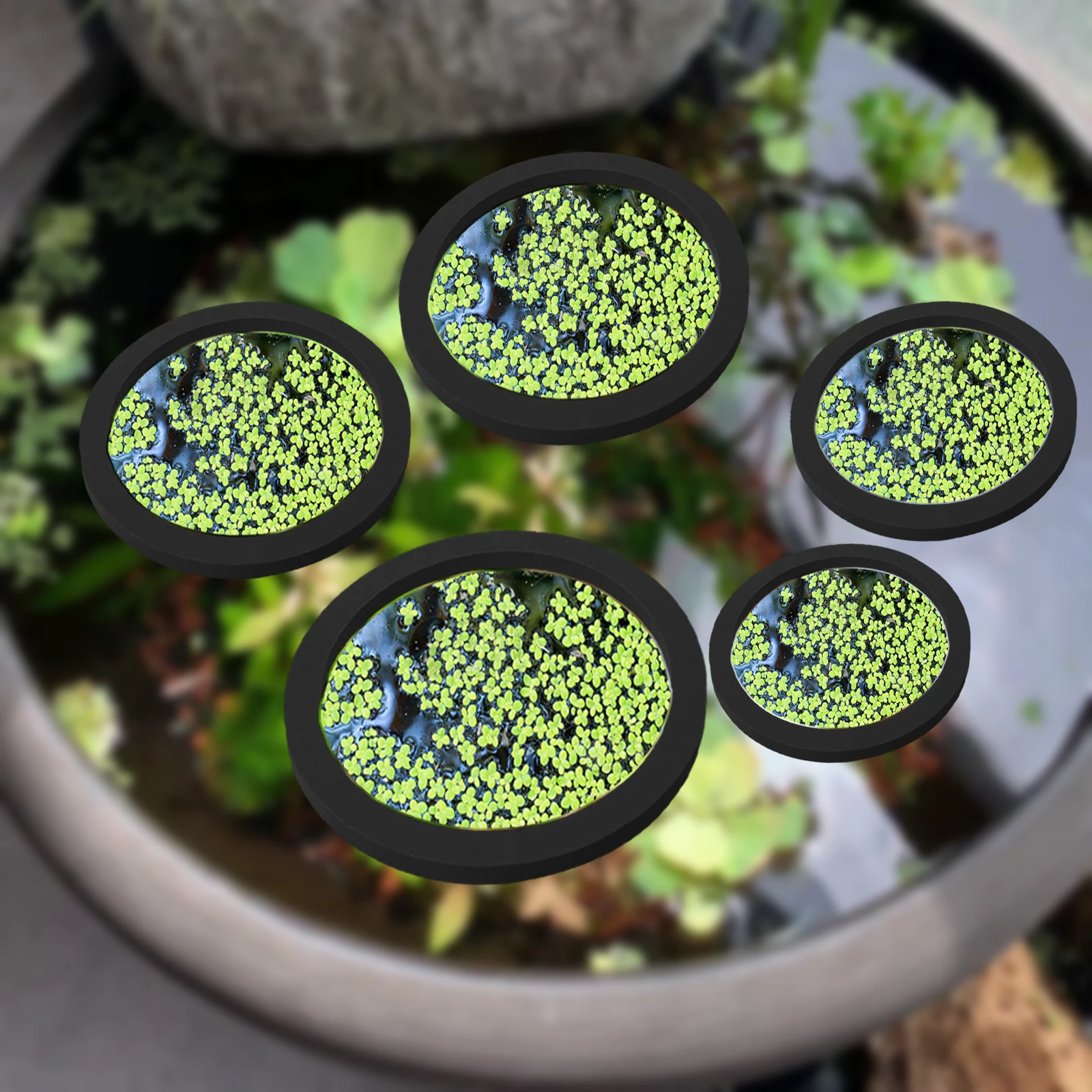 Planted Tank - 5 buah EVA cincin pemberi makan