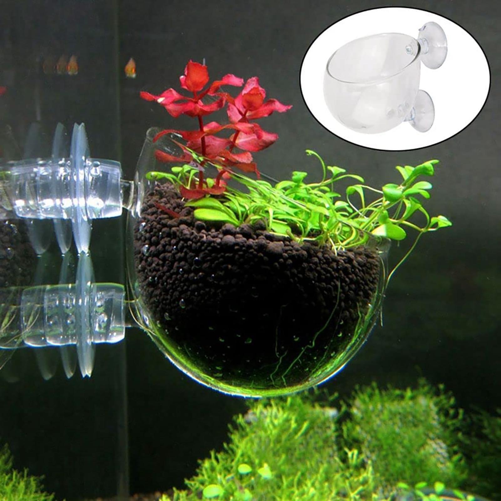 Plant Aquarium Pot - Pot Tanaman Air Akrilik Bening dengan