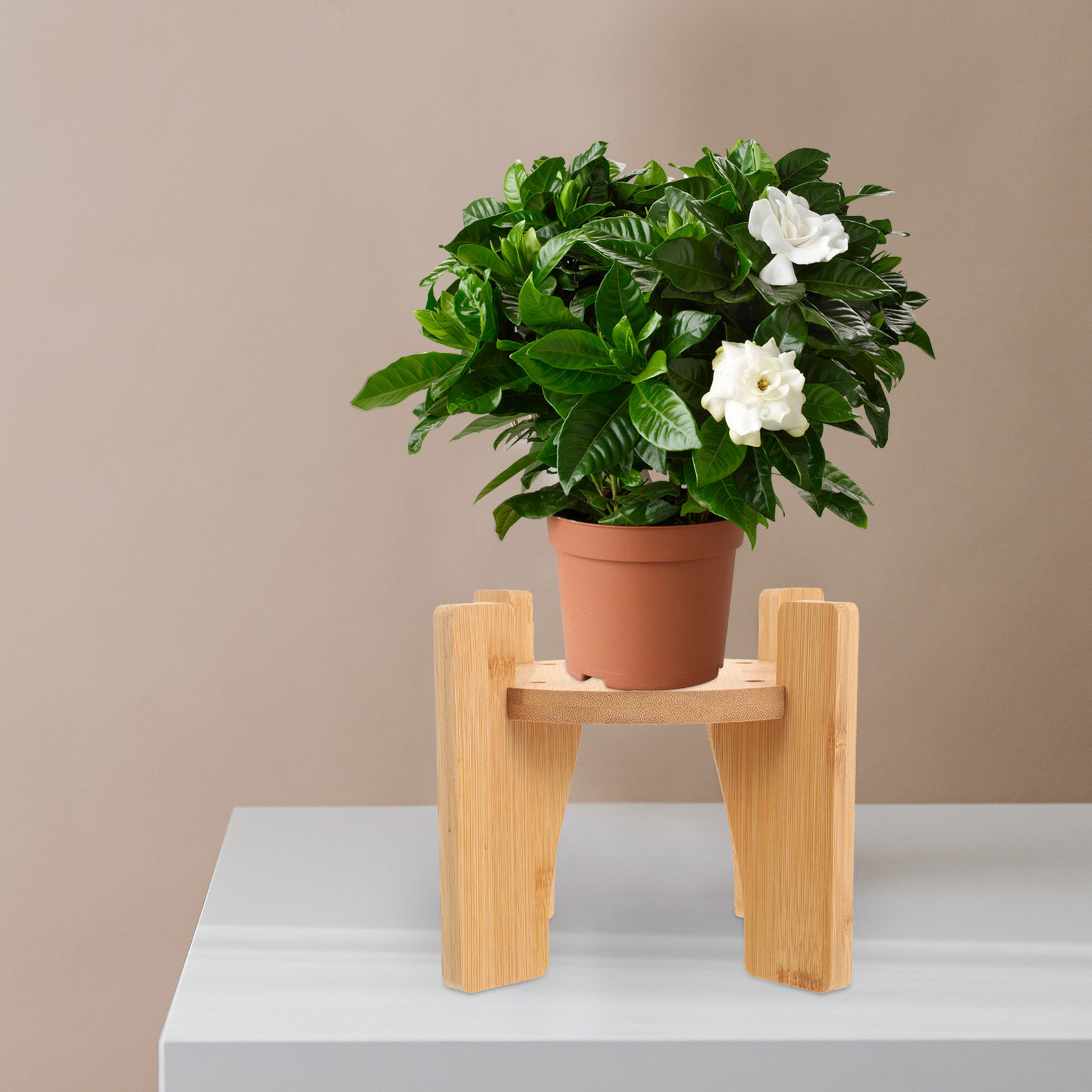 Planted Tank - Rak Penyaji Minuman Kayu, Alas Bundar