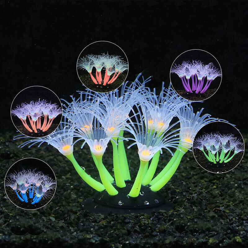 Silikon Bercahaya untuk Lanska - Aquarium Plant Substrate ulasan dan harga