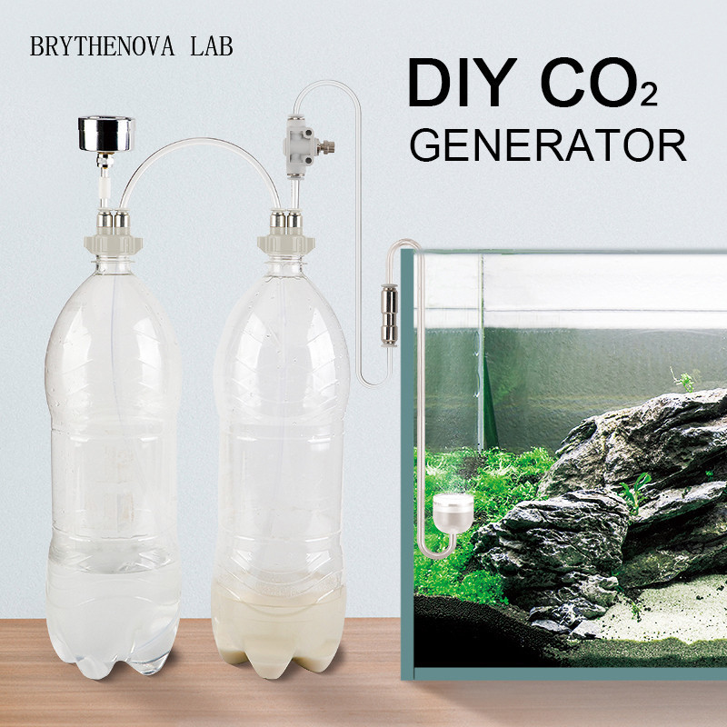 Generator CO2 untuk Akuarium T - Aquarium Moss ulasan dan harga