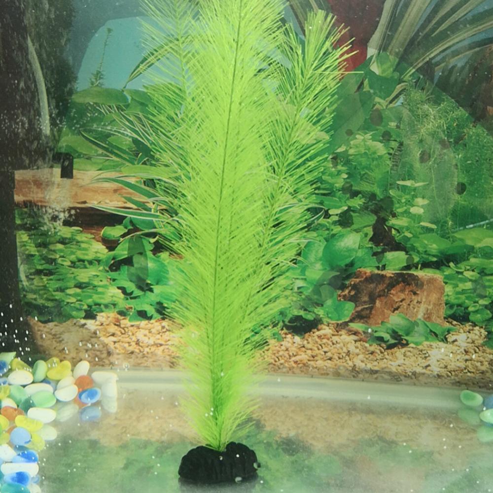 1/3 buah 28-40 cm tangki ikan  - Live Plant Aquarium ulasan dan harga