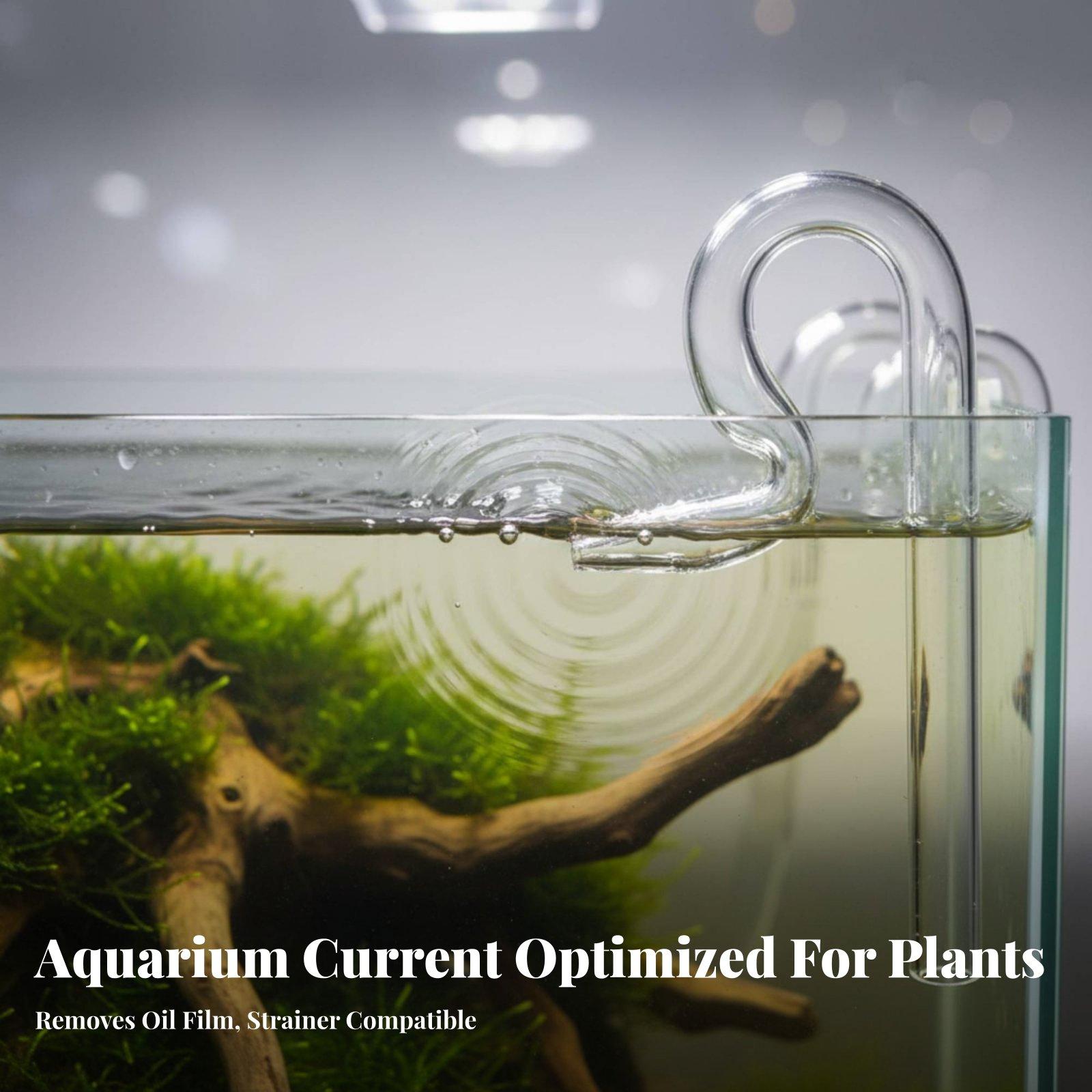Glass Lily Pipe Aquarium Surfa - Aquarium Planted Tank Filter ulasan dan harga
