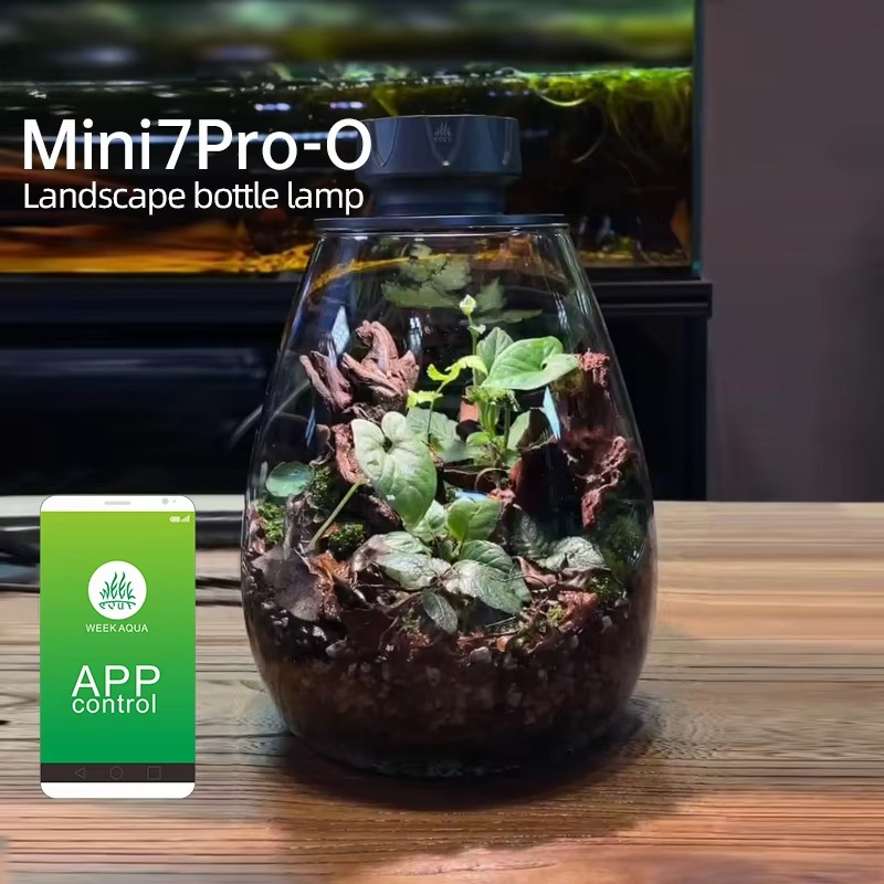 Lampu Dekorasi Meja Mikrolansk - Planted Tank ulasan dan harga