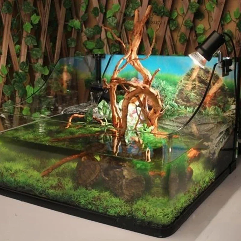 Pohon alami kayu apung akuariu - Aquarium Moss ulasan dan harga