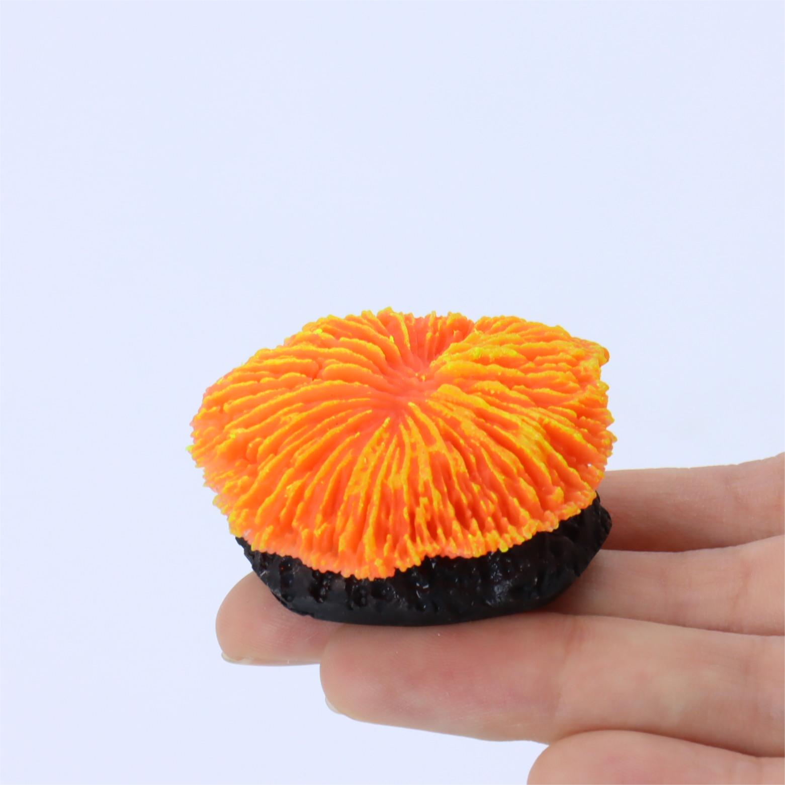 1 Buah Dekorasi Akuarium, Kara - Live Plant Aquarium ulasan dan harga