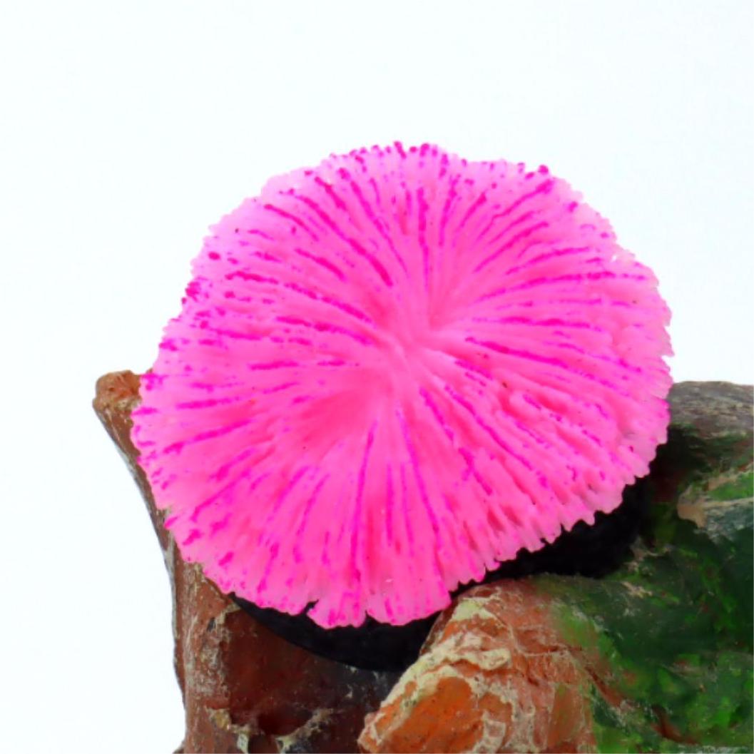 1 Buah Dekorasi Akuarium, Kara - Live Plant Aquarium ulasan dan harga
