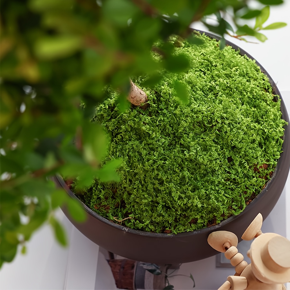 1 Pak lumut palsu buatan, 1.05 - Aquarium Moss ulasan dan harga