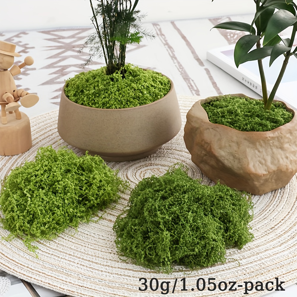 1 Pak lumut palsu buatan, 1.05 - Aquarium Moss ulasan dan harga