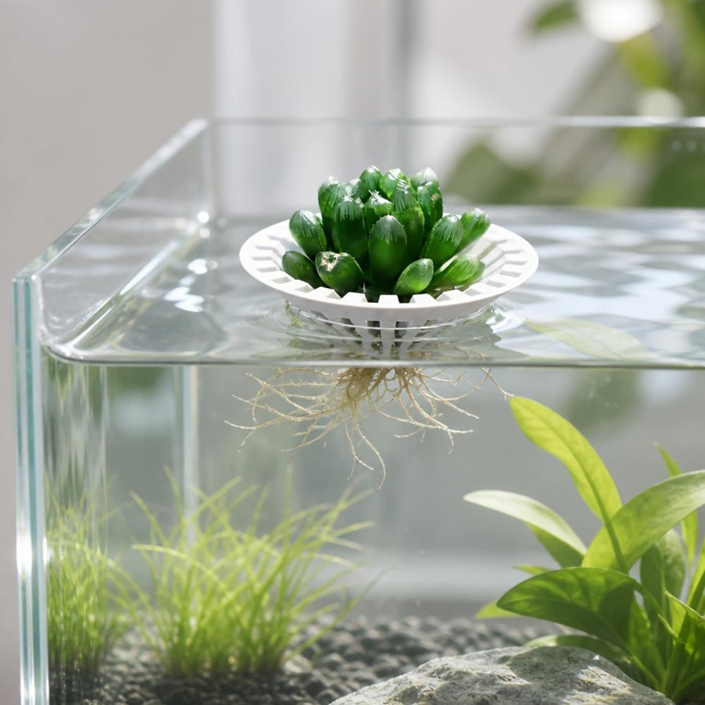 Wadah Tanaman Hidroponik Akuar - Aquarium Plant Holder ulasan dan harga