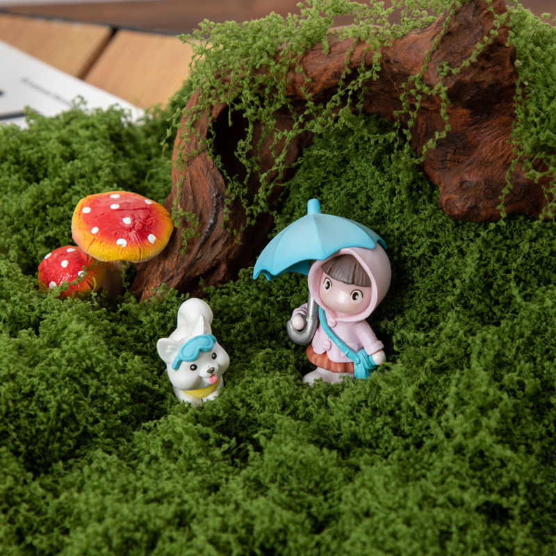 200G Rumput Lumut Kehidupan Ab - Aquarium Moss ulasan dan harga