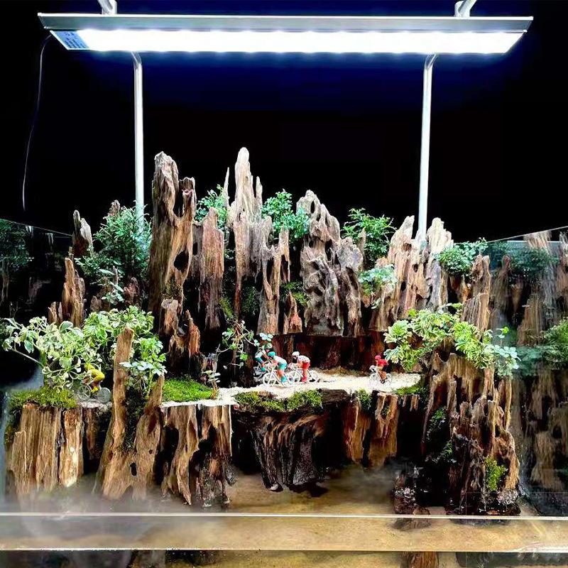 Dekorasi Akuarium Kayu Udang,  - Aquarium Driftwood ulasan dan harga