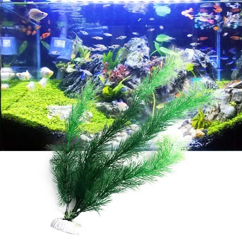 Tanaman Dekorasi Akuarium Buat - Aquarium Plant Substrate ulasan dan harga