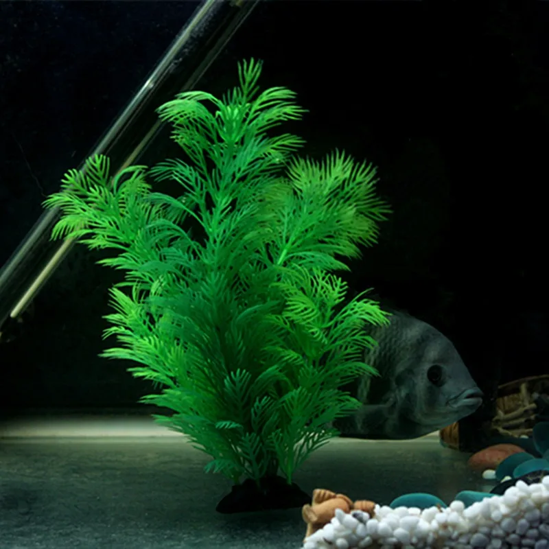 Tanaman Dekorasi Akuarium Buat - Aquarium Plant Substrate ulasan dan harga