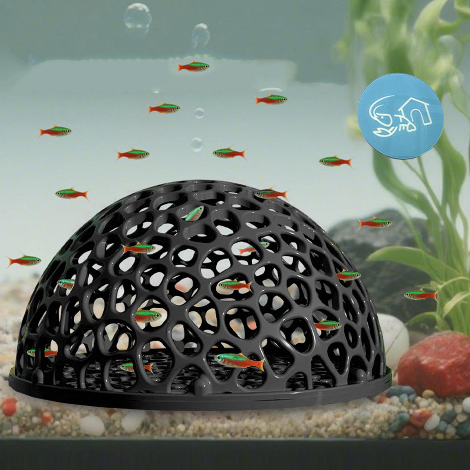 Tempat Persembunyian Tersembun - Aquarium Plants Live ulasan dan harga