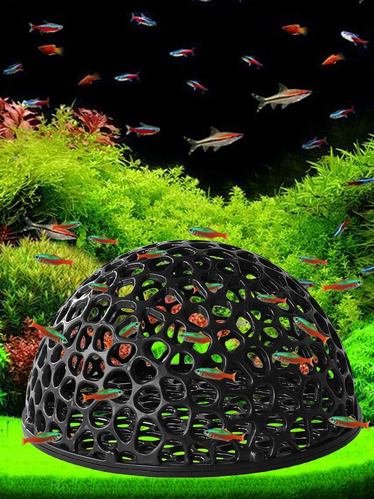 Tempat Persembunyian Tersembun - Aquarium Plants Live ulasan dan harga