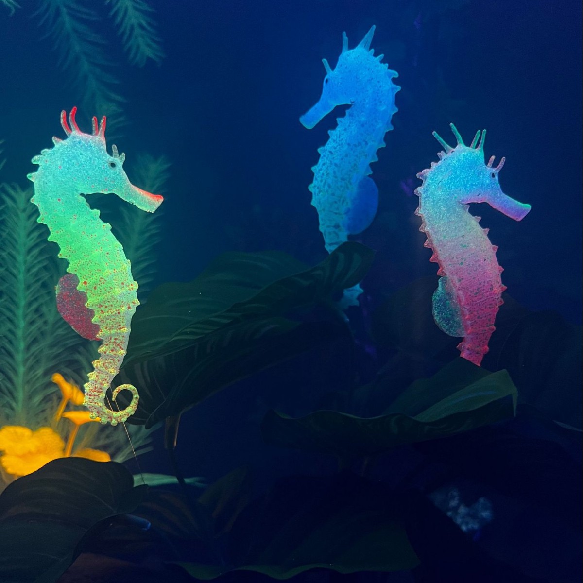 Dekorasi Akuarium Kuda Laut Be - Aquarium Plant Substrate ulasan dan harga