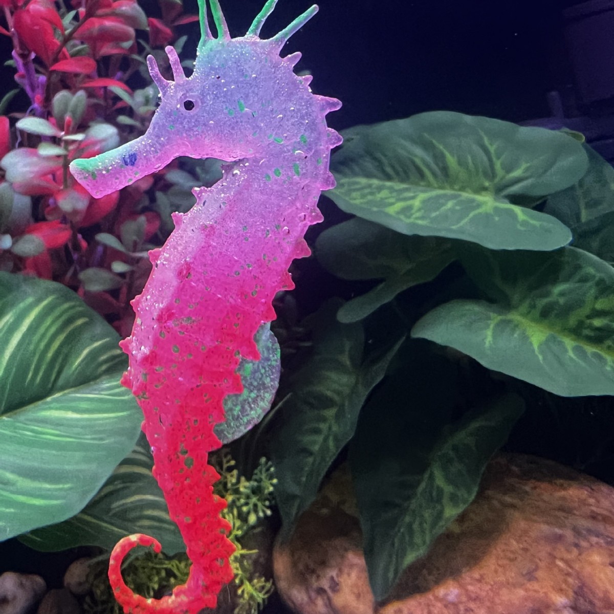 Dekorasi Akuarium Kuda Laut Be - Aquarium Plant Substrate ulasan dan harga