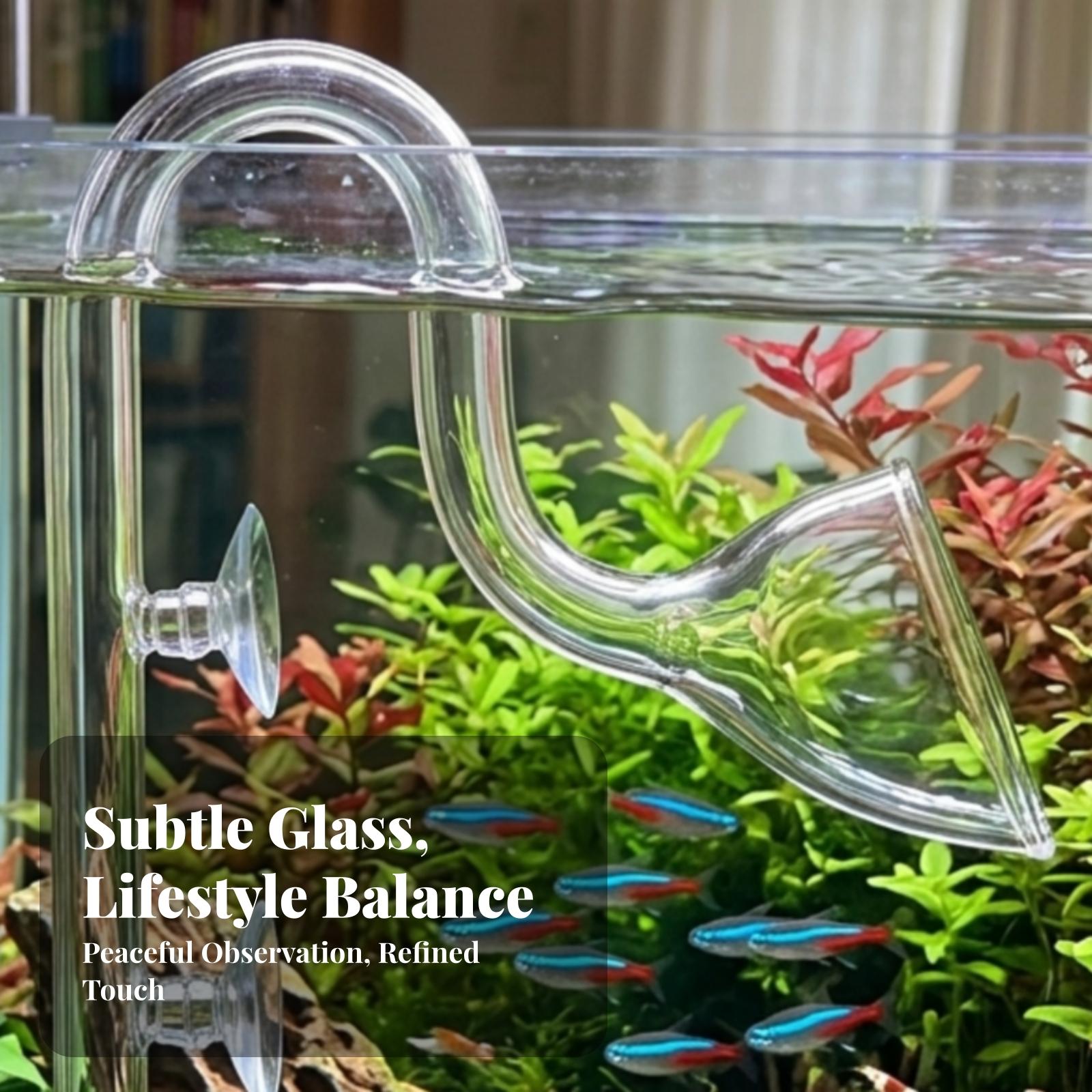 Set Pipa Lily Transparan untuk - Aquarium Planted Tank Filter ulasan dan harga