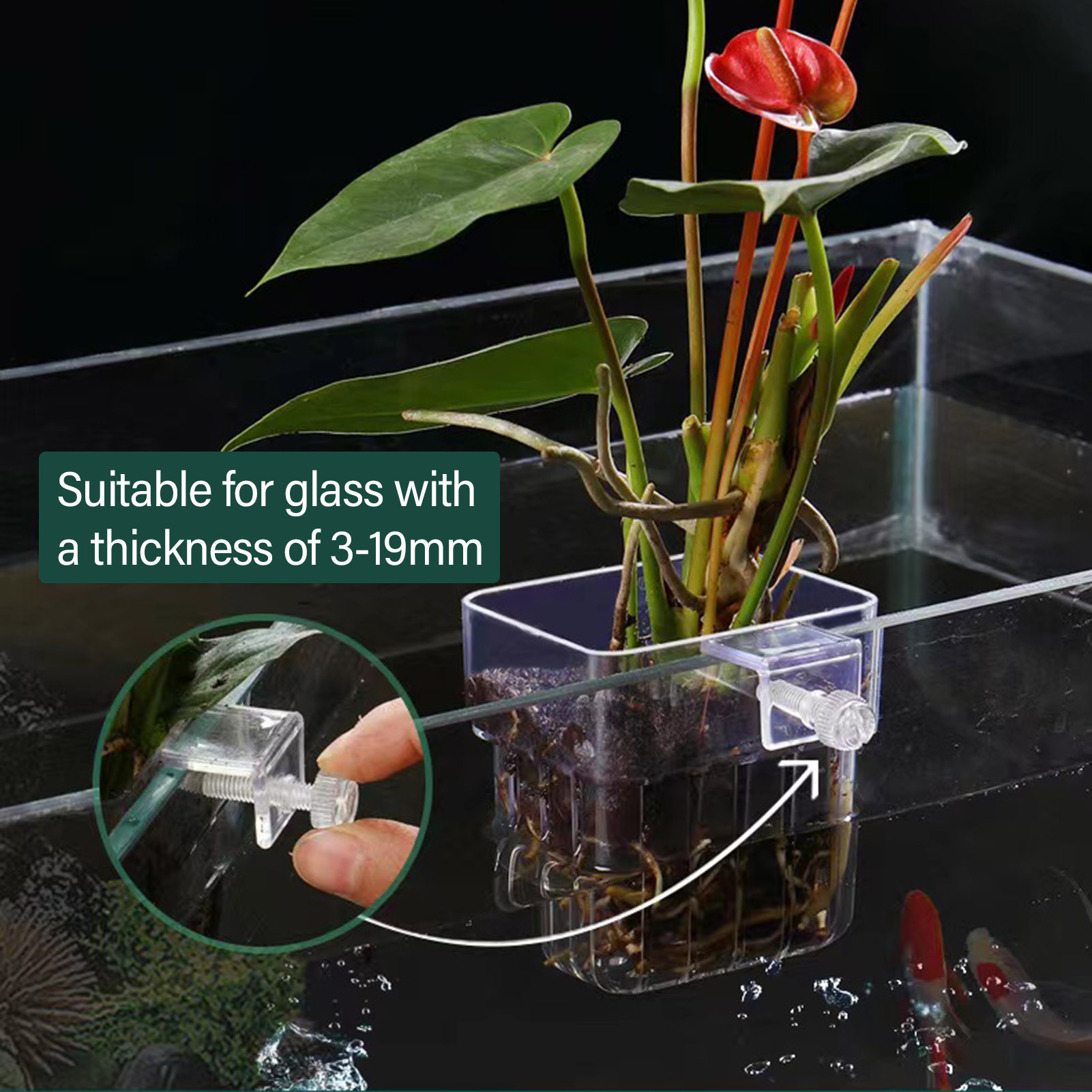 Wadah Tanaman Akrilik Transpar - Aquarium Plant Holder ulasan dan harga