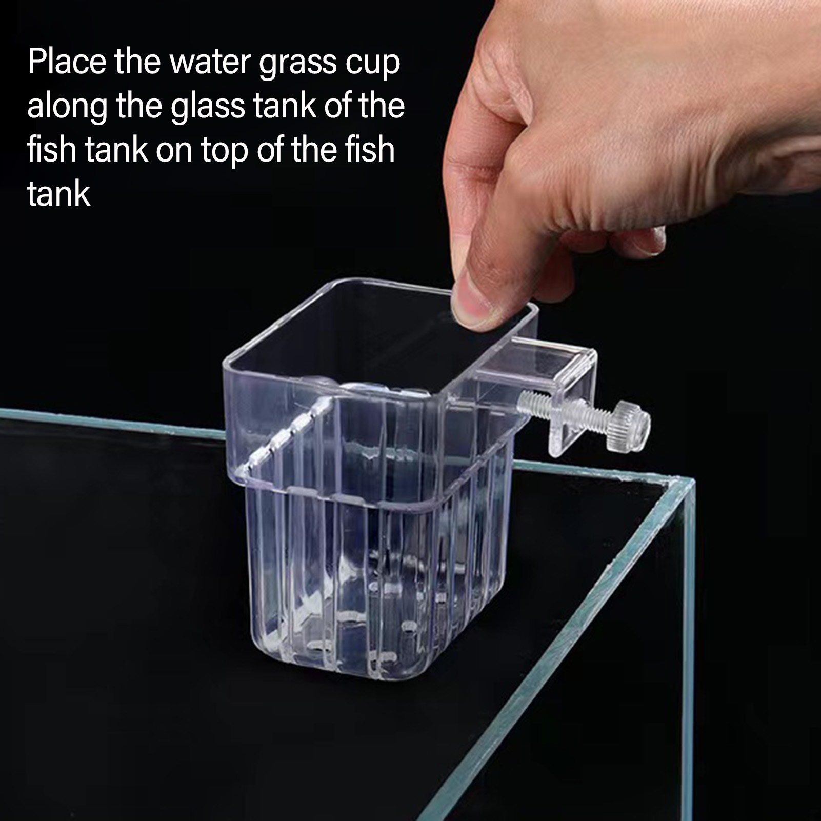 Wadah Tanaman Akrilik Transpar - Aquarium Plant Holder ulasan dan harga