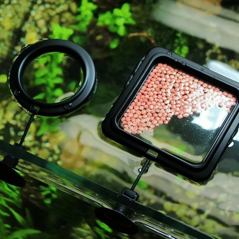 1/3 buah Cincin Pemberi Makan  - Aquarium Fertilizer ulasan dan harga