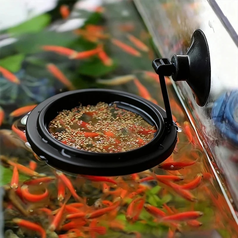 1/3 buah Cincin Pemberi Makan  - Aquarium Fertilizer ulasan dan harga