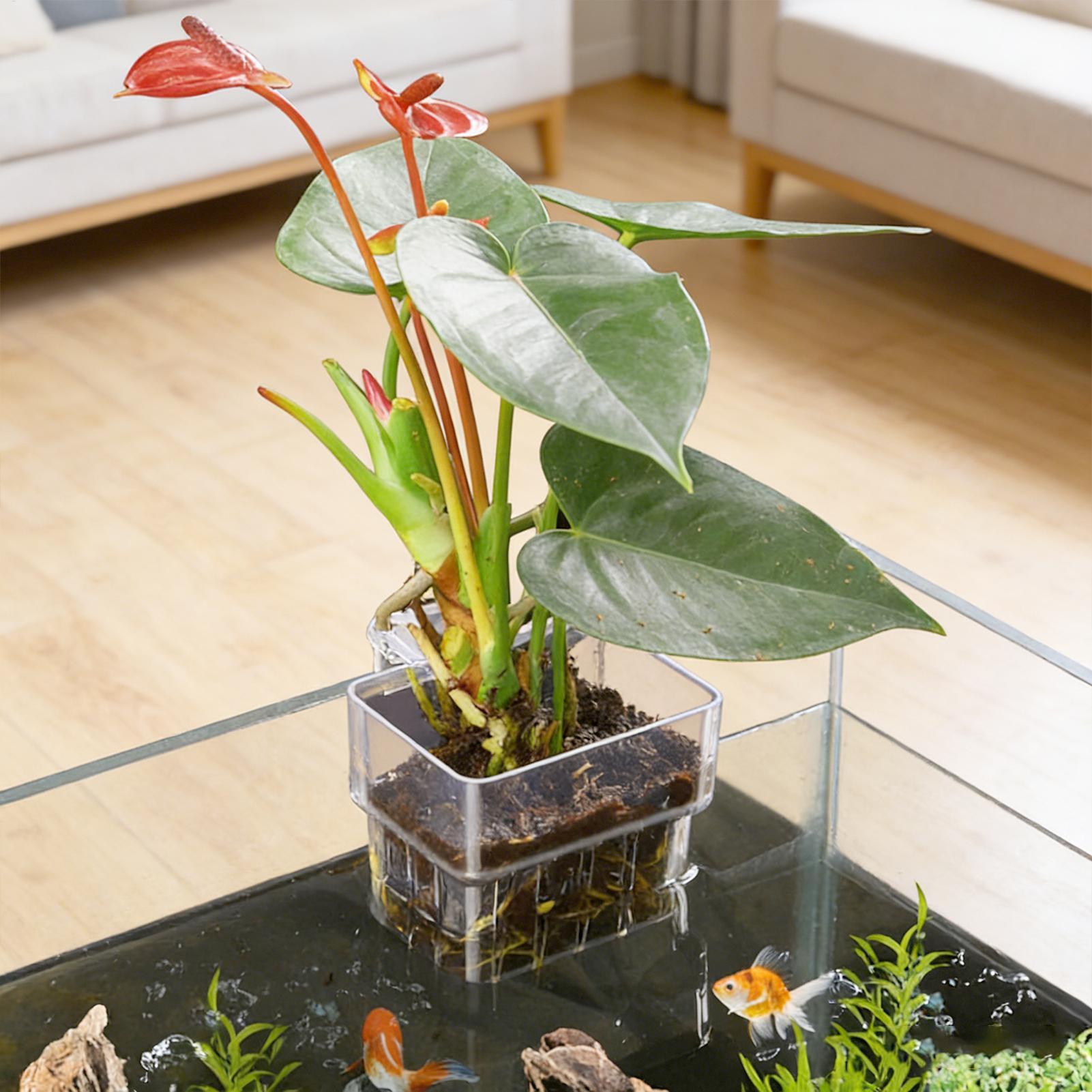 Keranjang Tanaman Akuarium Tra - Plant Aquarium Pot ulasan dan harga