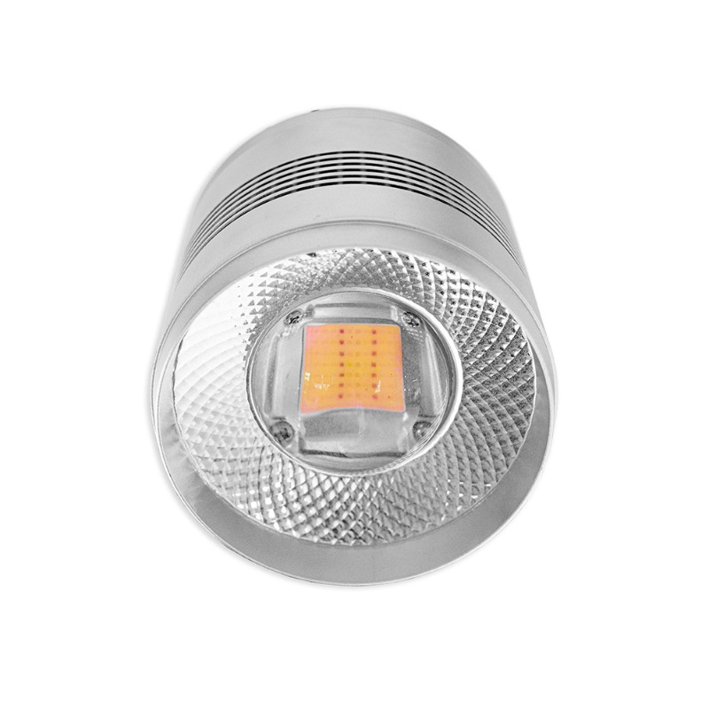 Lampu Akuarium LED 70W untuk T - Planted Aquarium Algae Control ulasan dan harga