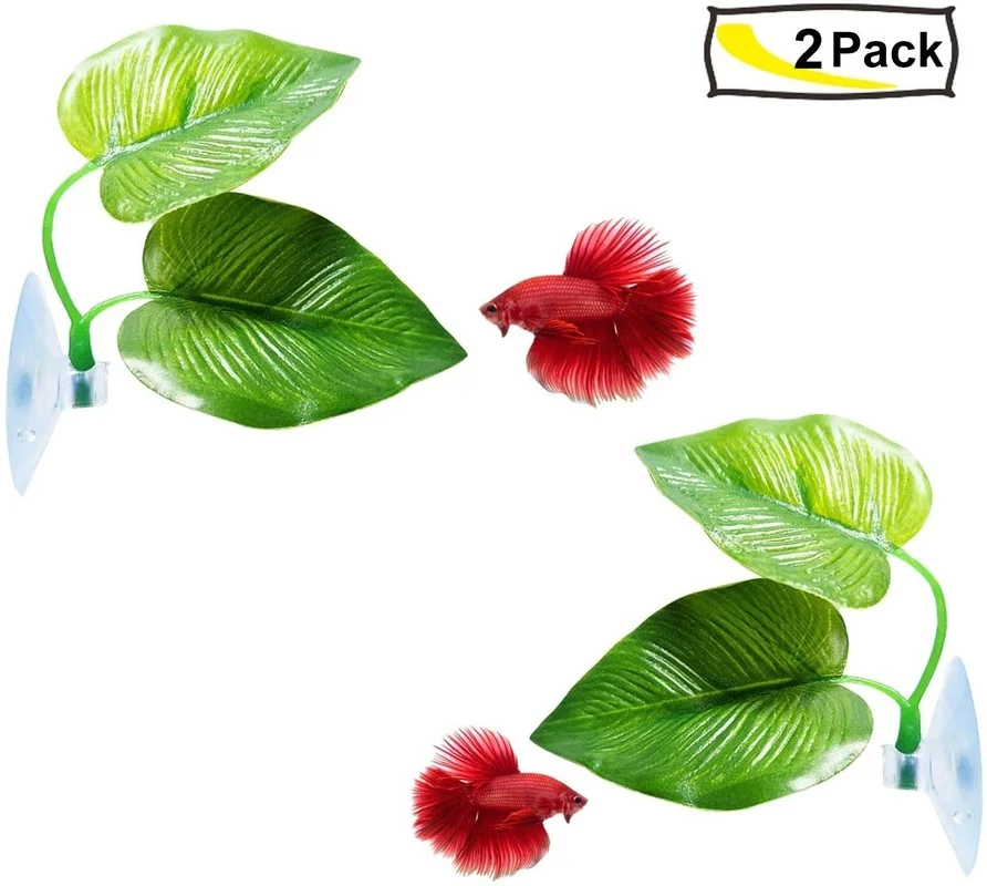 Tempat Tidur Gantung Daun Ikan - Aquarium Moss ulasan dan harga