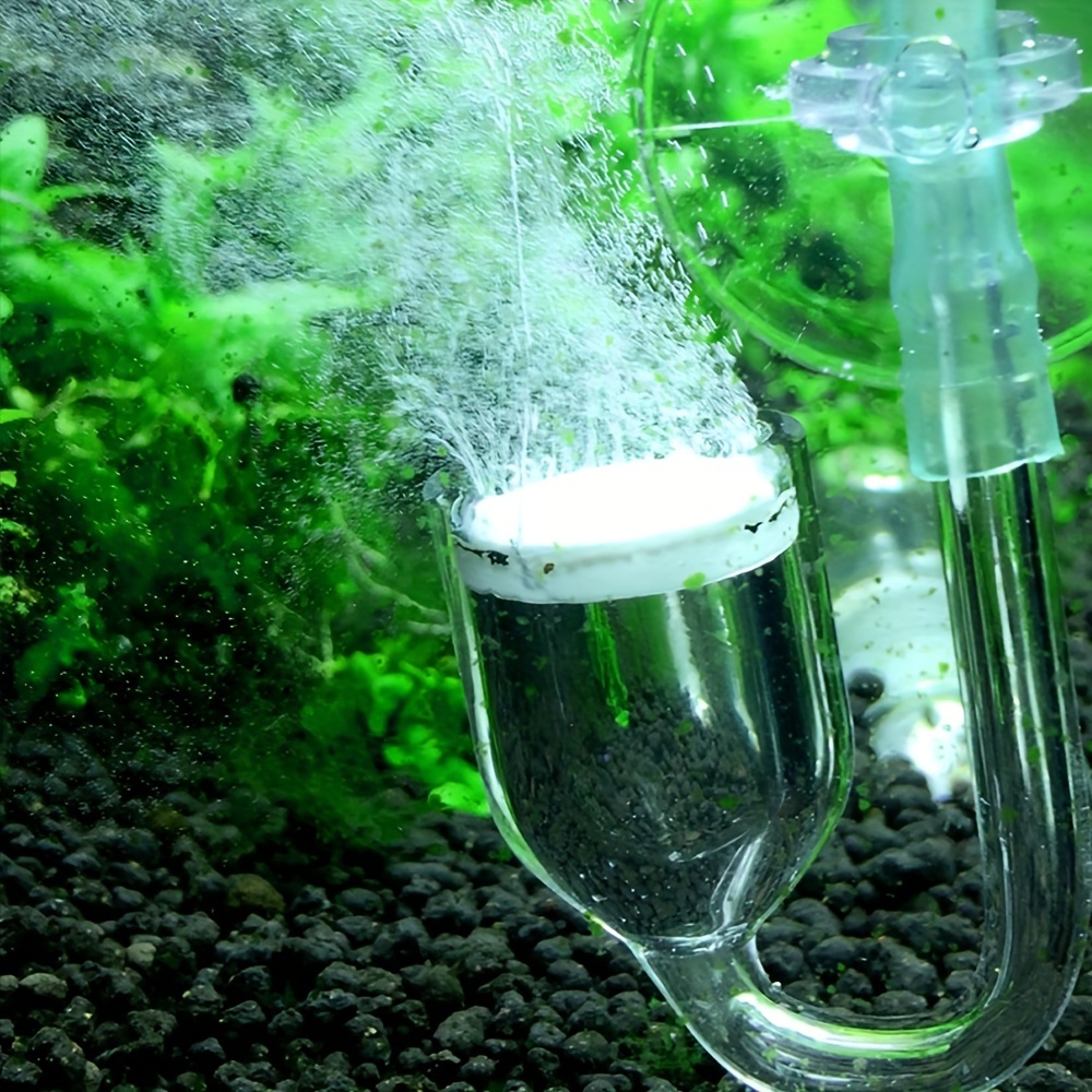 Aquarium kaca CO2 Atomizer Dif - Aquarium Liquid Carbon ulasan dan harga
