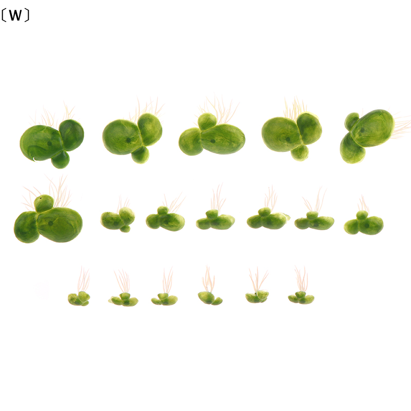 〔W〕18pcs/set Dekorasi Akuarium - Aquarium Plants Live ulasan dan harga