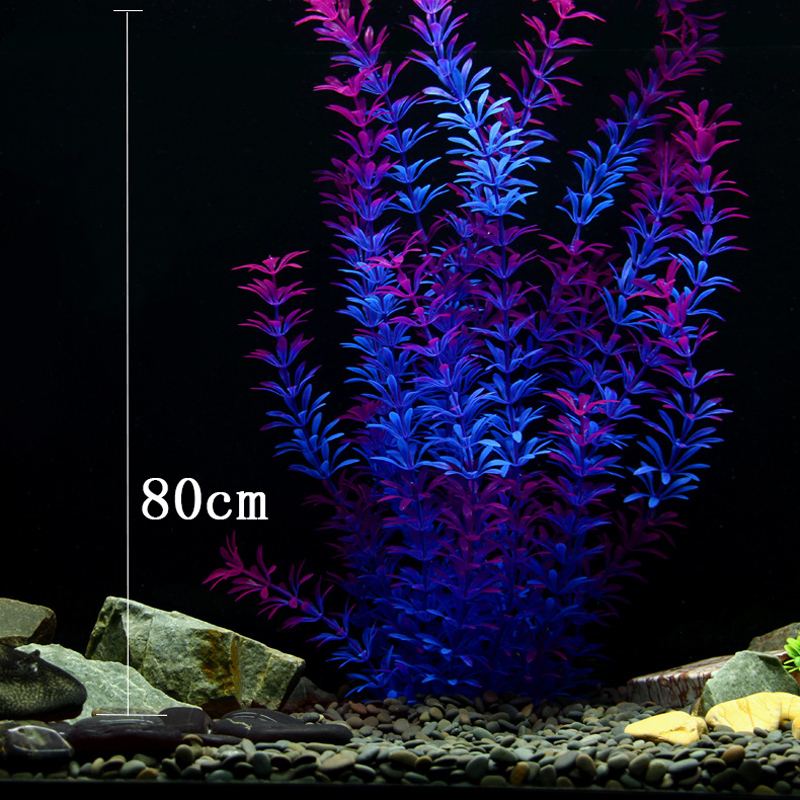 Tanaman Tropis 100cm, Rumput A - Aquarium Moss ulasan dan harga