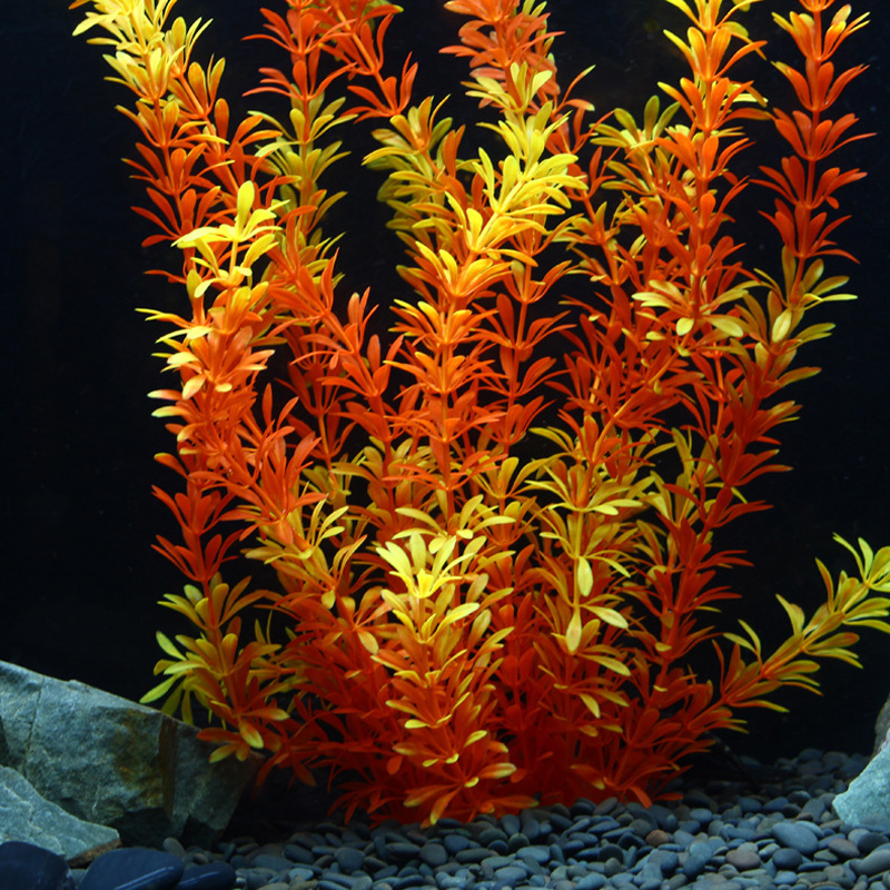 Tanaman Tropis 100cm, Rumput A - Aquarium Moss ulasan dan harga