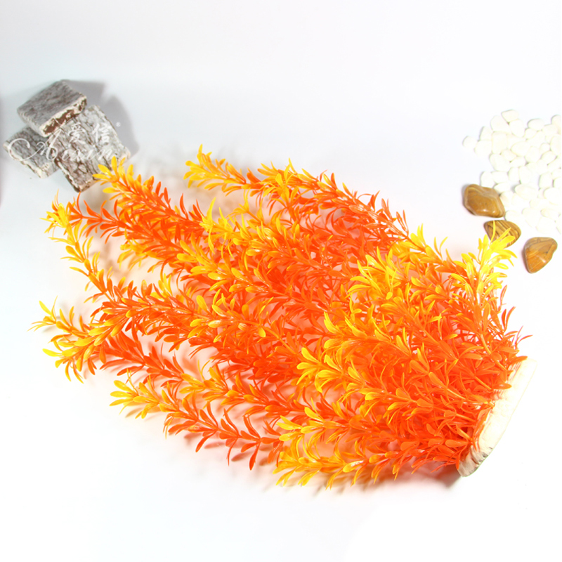 Tanaman Tropis 100cm, Rumput A - Aquarium Moss ulasan dan harga