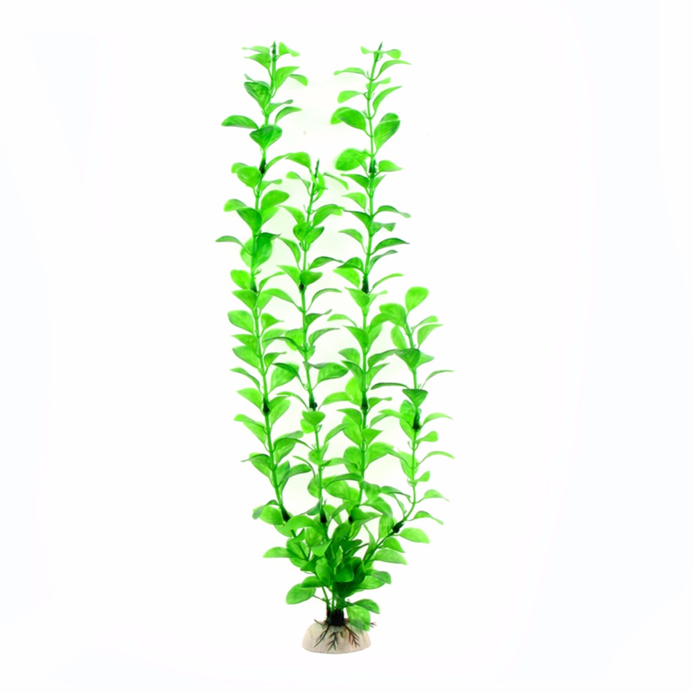Ornamen Aksesori Akuarium Buat - Live Plant Aquarium ulasan dan harga