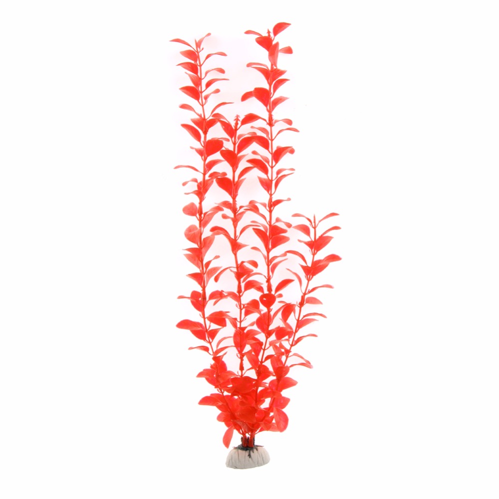 Ornamen Aksesori Akuarium Buat - Live Plant Aquarium ulasan dan harga