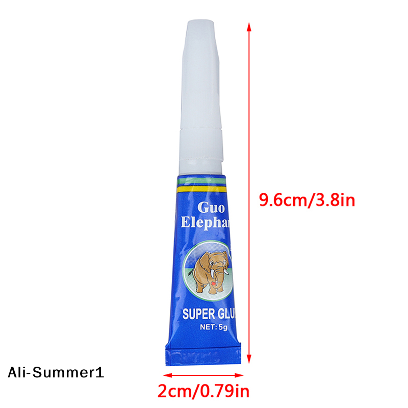 【E】1* Bola Lumut untuk Lanskap - Aquarium Moss ulasan dan harga