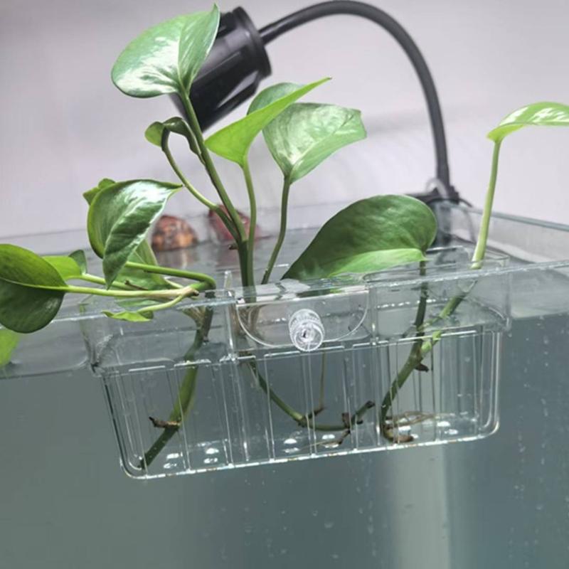 Keranjang Tanaman Hidroponik,  - Planted Tank ulasan dan harga